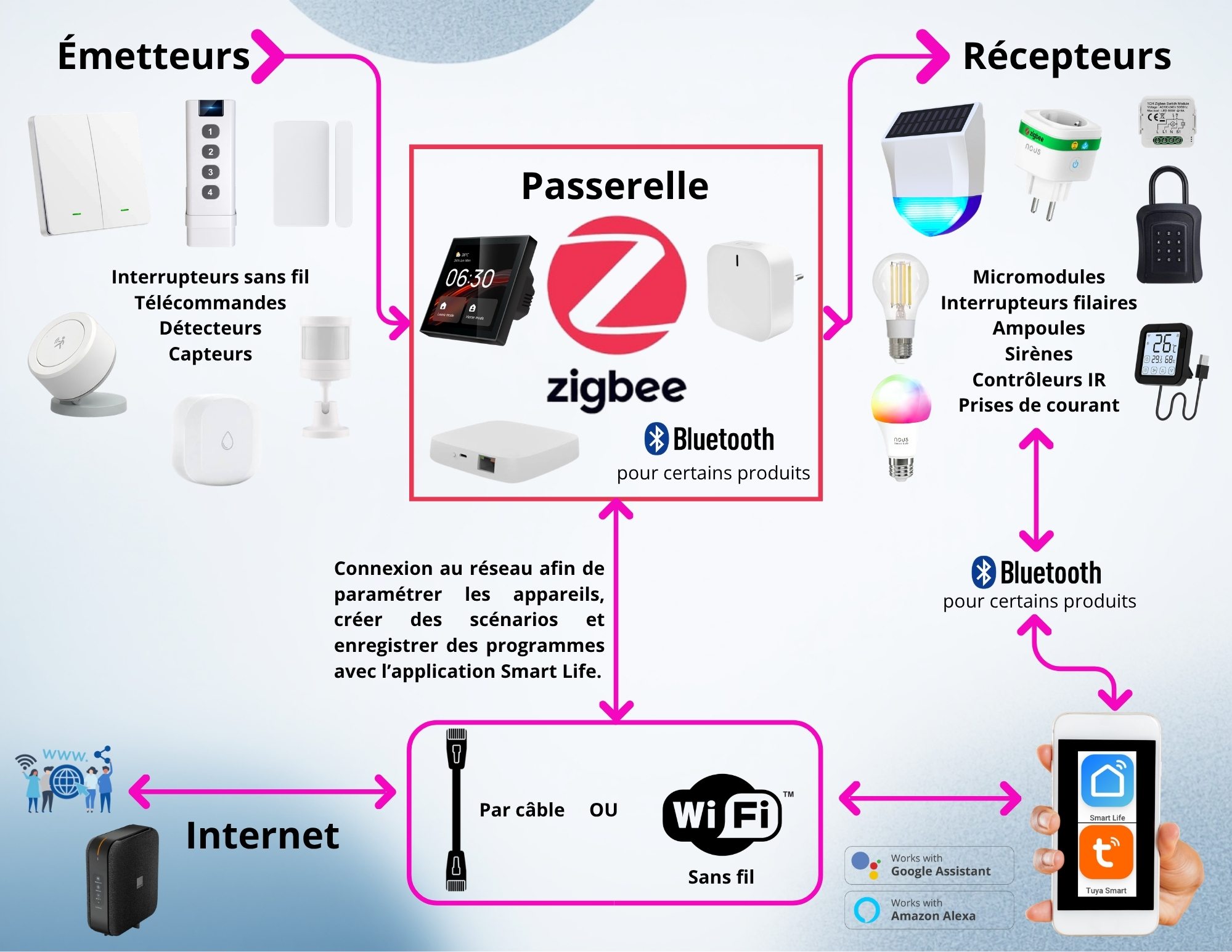 Principe Zigbee
